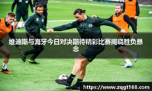 维迪斯与海牙今日对决期待精彩比赛揭晓胜负悬念