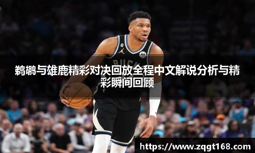 鹈鹕与雄鹿精彩对决回放全程中文解说分析与精彩瞬间回顾